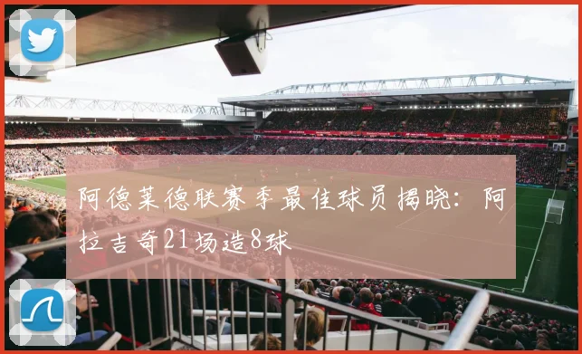 阿德莱德联赛季最佳球员揭晓：阿拉吉奇21场造8球